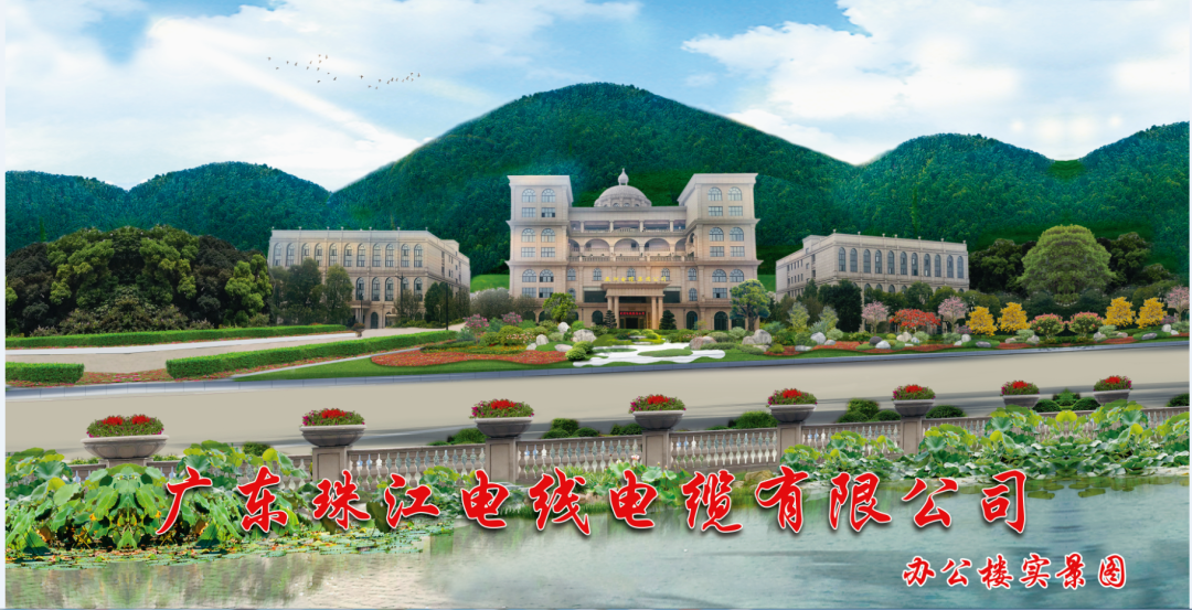 宝武钢铁集团向导专家莅临尊龙凯时人生就是搏电缆旅行交流